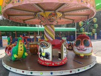NEW Mini Carousel